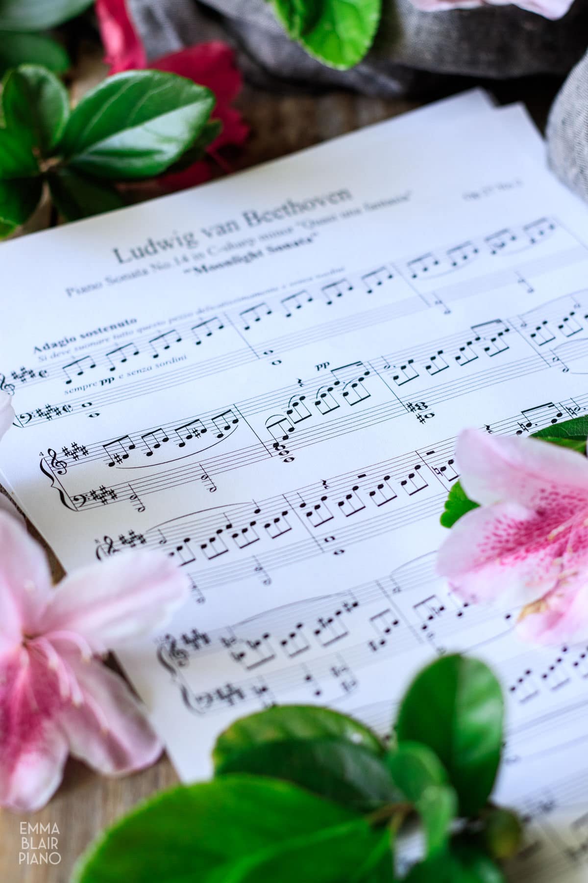 classical sheet music with flowers