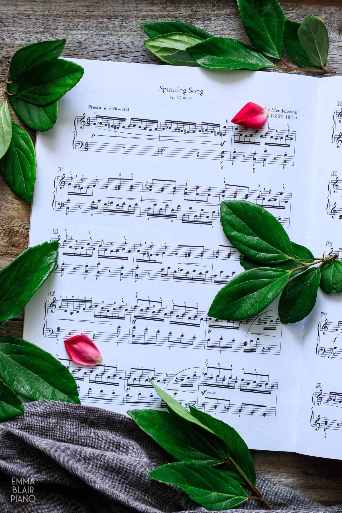 classical sheet music with green leaves and pink rose petals