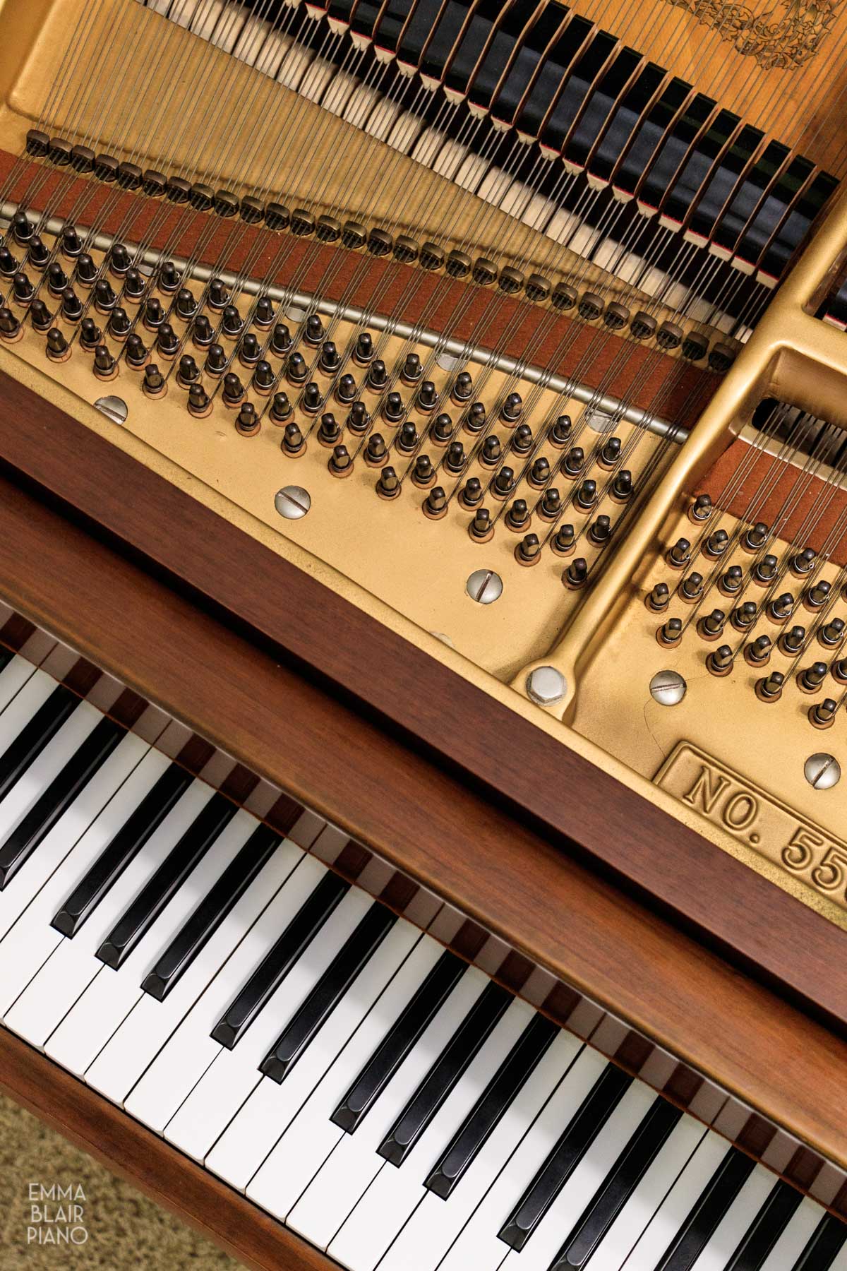 closeup of the tuning pegs on a grand piano